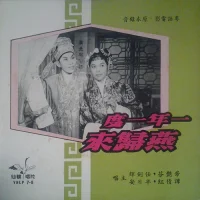 一年一度燕歸來