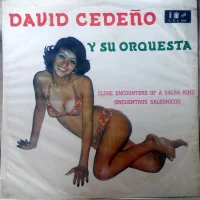 Close Encounters Of A Salsa Kind (Encuentros Salsonicos)