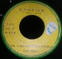 Candida / Yellow Bird