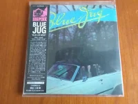 Blue Jug