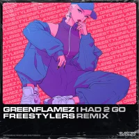 I Had 2 Go (Freestylers Remix)