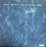 Love Will Make You Do Things That You Know Is Wrong