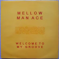 Welcome To My Groove