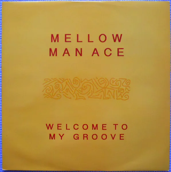 Welcome To My Groove