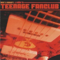 What A Concept!: A Salute To Teenage Fanclub