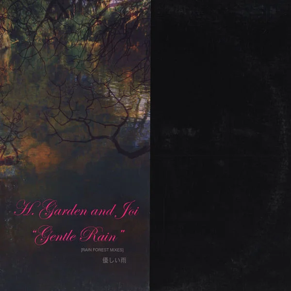 Gentle Rain (Rain Forest Mixes)