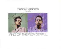 Mind Of The Wonderful