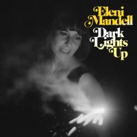 Dark Lights Up