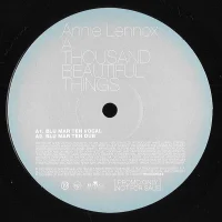 A Thousand Beautiful Things