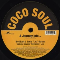 A Journey Into...