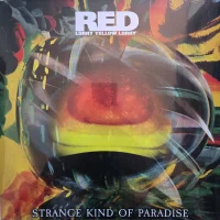 Strange Kind Of Paradise