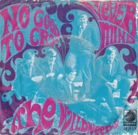 No Good To Cry / Never Mind