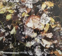 Brownswood Electr*c 4