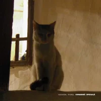 Comandă Specială