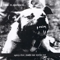 Spicy Rice Made Our Socks Rot