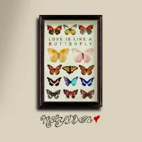 Love Is Like A Butterfly