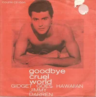 Gidget Goes Hawaiian / Goodbye Cruel World