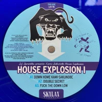 House Explosion I