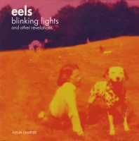 Blinking Lights And Other Revelations