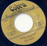 I Want You Back / I'm Just An Average Guy