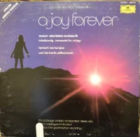 A Joy Forever
