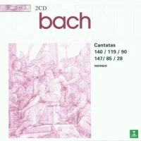 Cantatas 140, 119, 90, 147, 85, 28