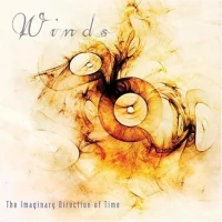 The Imaginary Direction Of Time