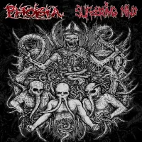 Phobia / Suffering Mind