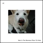 Man Is The Warmest Place To Hide