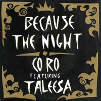 Because The Night