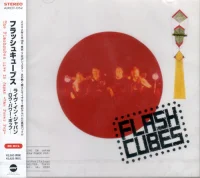 Raw Power Pop -The Flashcubes Live In Japan-