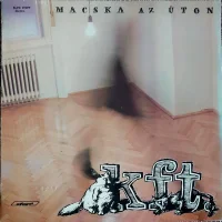 Macska Az Úton
