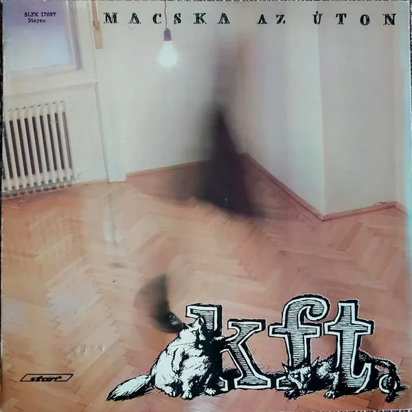 Macska Az Úton
