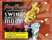 Swing Another Mood - The Essential Party Experience