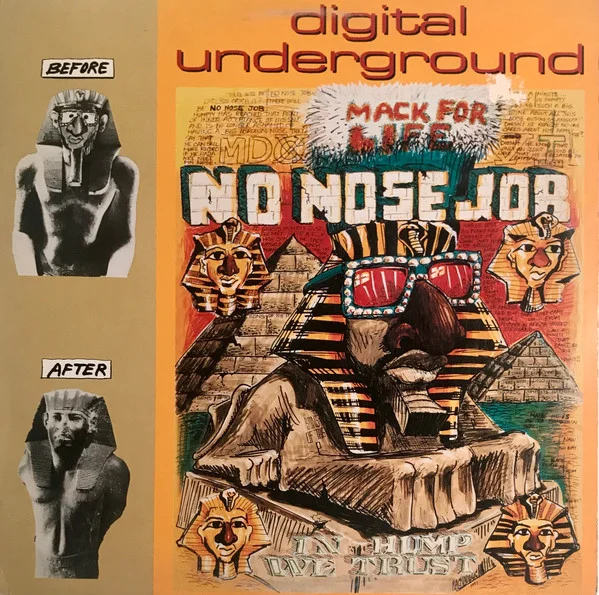 No Nose Job