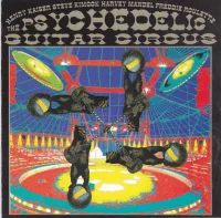The Psychedelic Guitar Circus