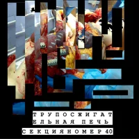 Секция #40