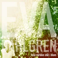 Hela Världen Står I Blom