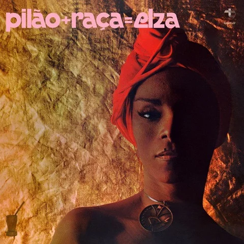 Pilão + Raça = Elza