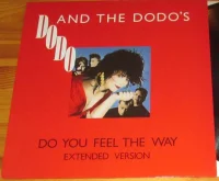Do You Feel The Way