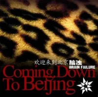 Coming Down To Beijing = 欢迎来到北京