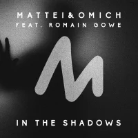 In The Shadows