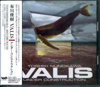 Under Construction