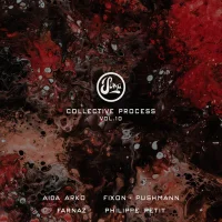 Collective Process Vol.10