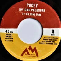 Joy And Pleasure