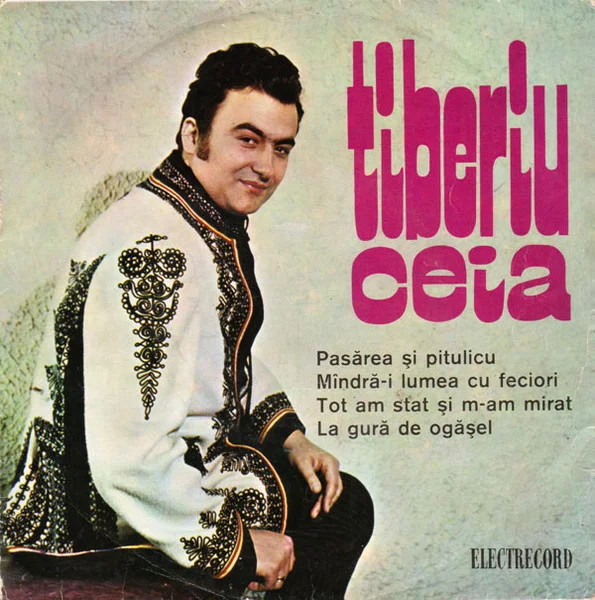 Pasărea Și Pitulicu