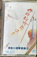 黃金小提琴演奏1 梅花 / 你那好冷的小手