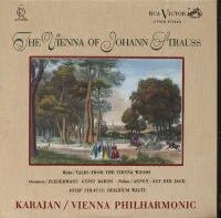 The Vienna Of Johann Strauss