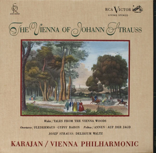 The Vienna Of Johann Strauss