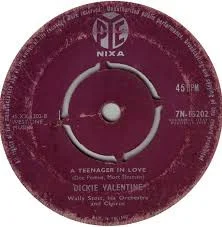 A Teenager In Love